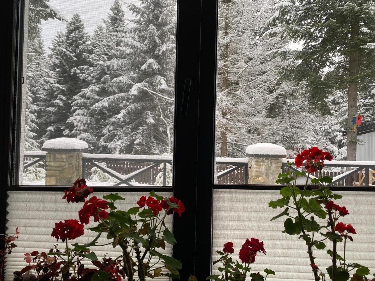 Феєрія Лісу Aparthotel Skhidnytsia Buitenkant foto