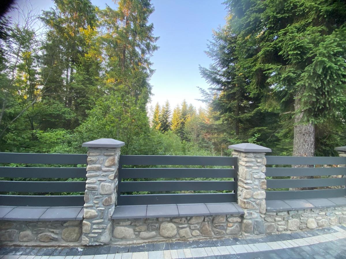 Феєрія Лісу Aparthotel Skhidnytsia Buitenkant foto