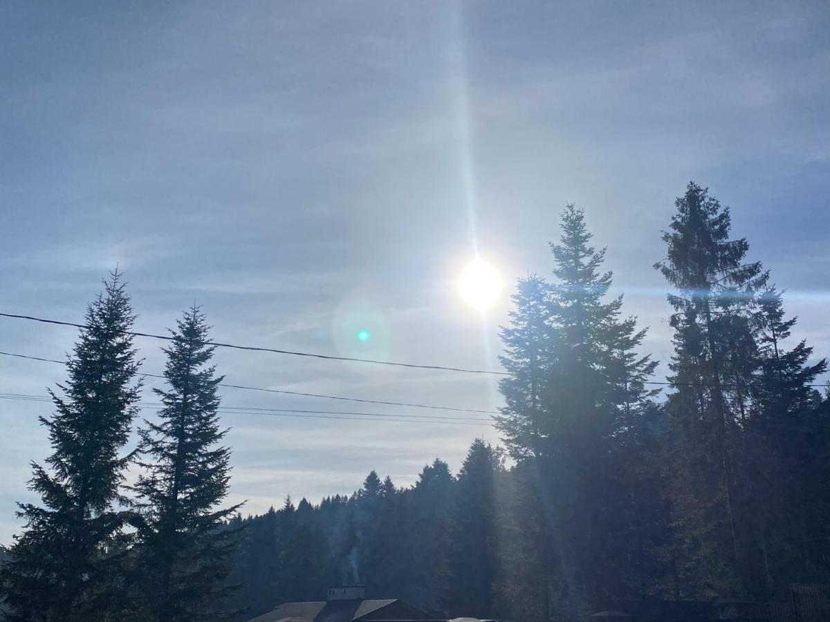 Феєрія Лісу Aparthotel Skhidnytsia Buitenkant foto