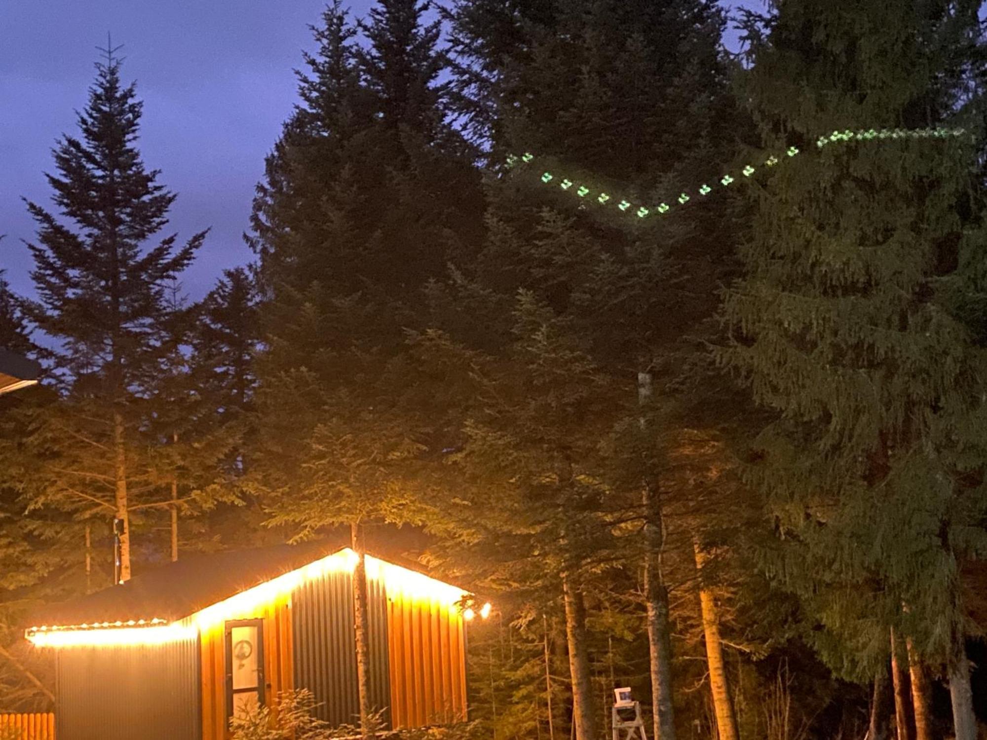 Феєрія Лісу Aparthotel Skhidnytsia Buitenkant foto