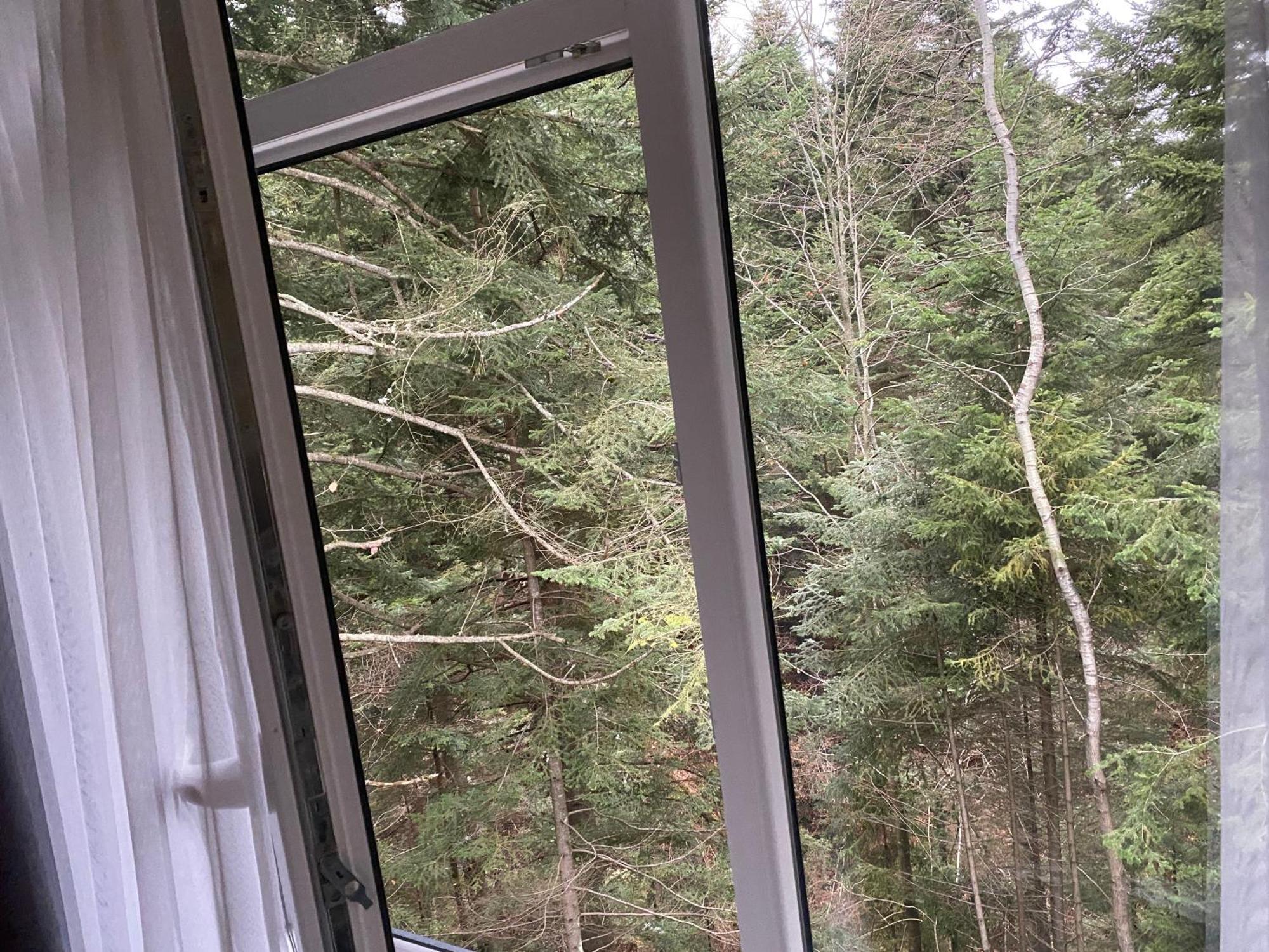 Феєрія Лісу Aparthotel Skhidnytsia Buitenkant foto