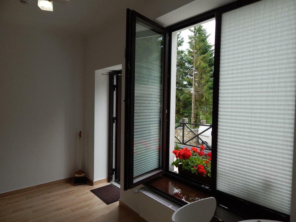 Феєрія Лісу Aparthotel Skhidnytsia Buitenkant foto