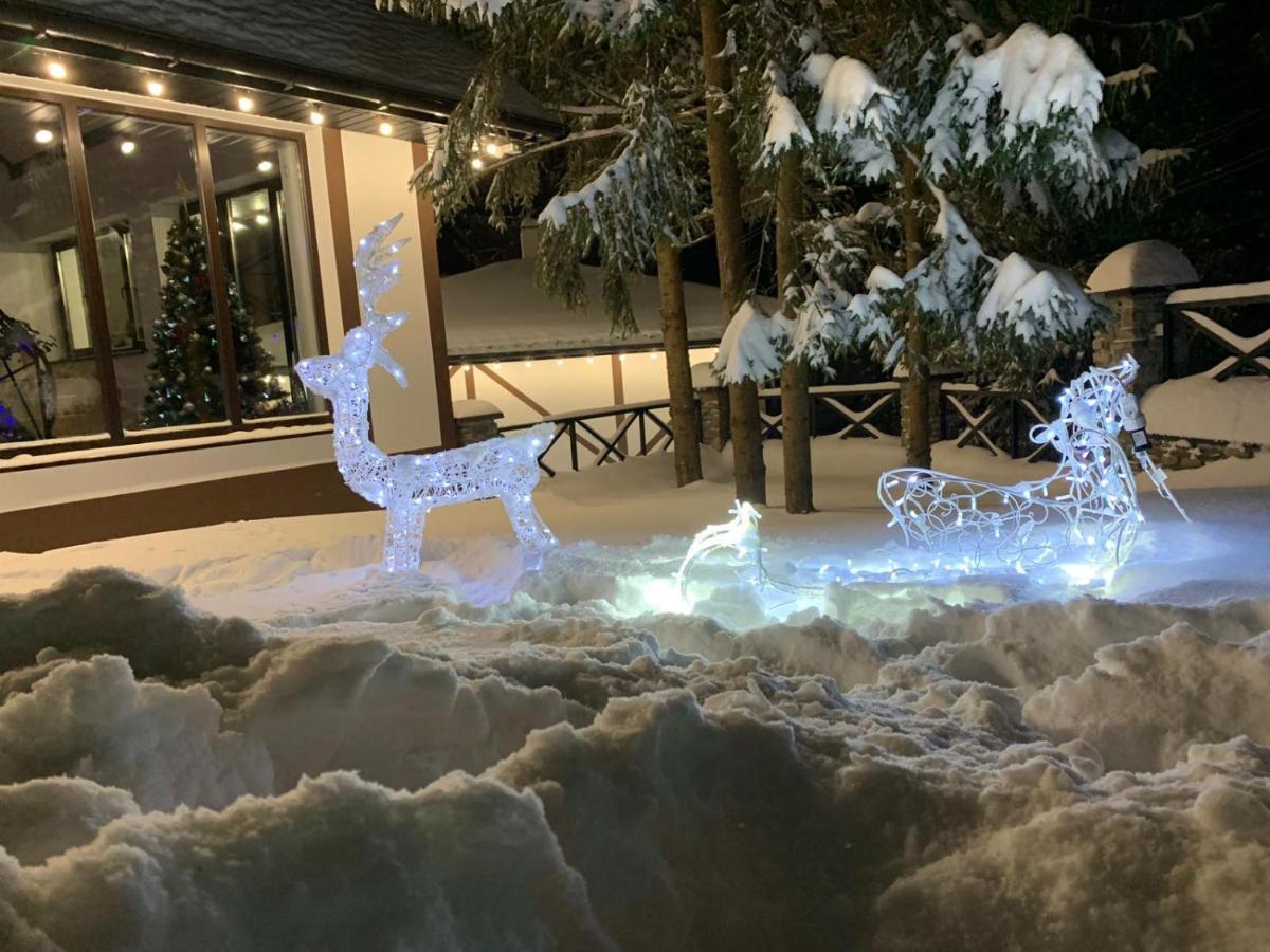 Феєрія Лісу Aparthotel Skhidnytsia Buitenkant foto